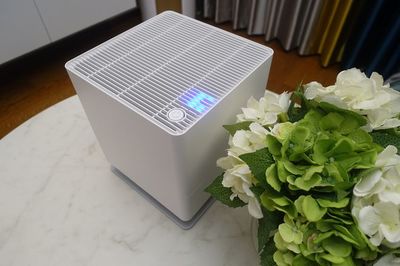 斯泰得樂Oskar加濕器開箱體驗 簡約設(shè)計與高效加濕的完美結(jié)合